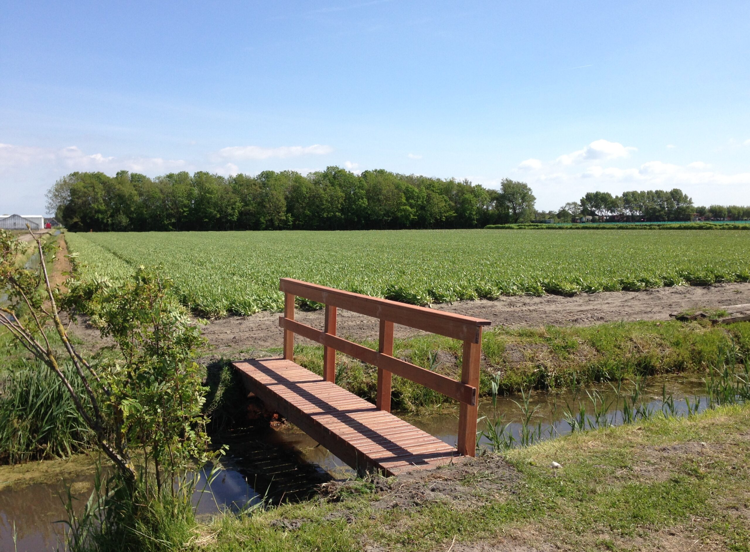 Wandelnetwerk Brug Janson Leeweg foto (5)