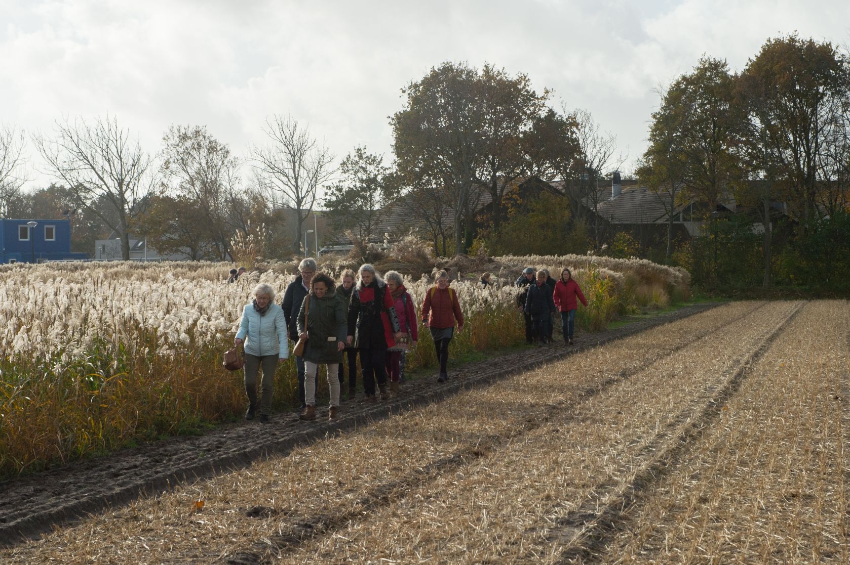 Wandelnetwerk-TS-20181113-DSC_2792_low